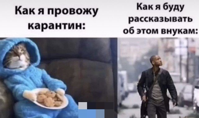 Удаленка, карантин и коронавирус: над чем смеются в Сети (15 фото)