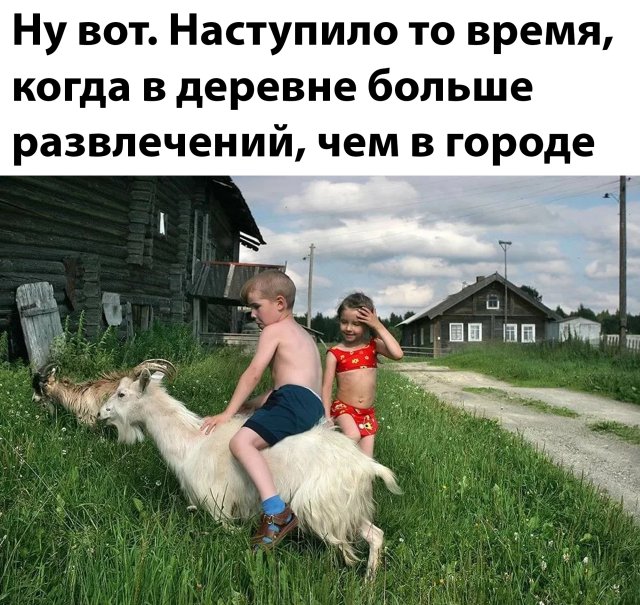 Подборка прикольных фото №2348 (76 фото)