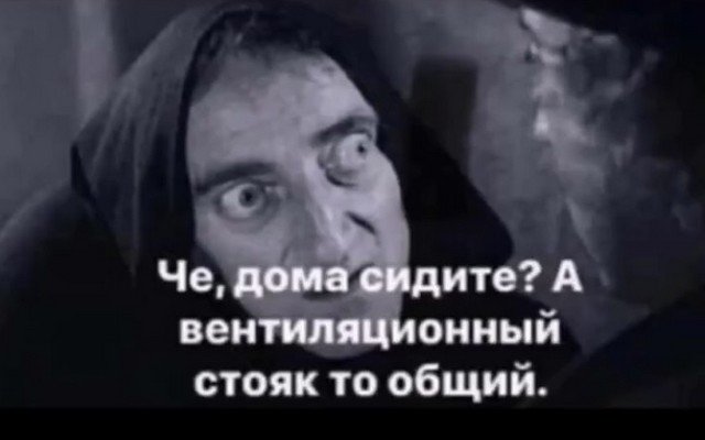 Шутки и мемы про карантин и самоизоляцию (15 фото)