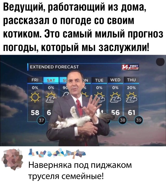 Подборка прикольных фото №2351 (70 фото)