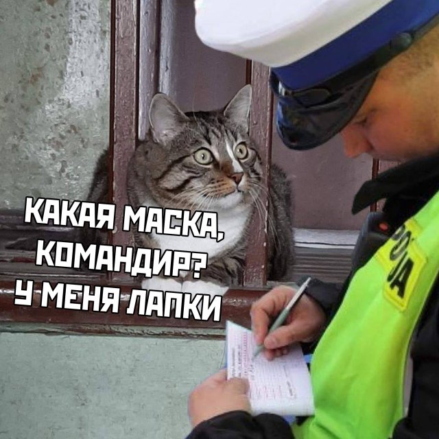 Подборка прикольных фото №2353 (68 фото)