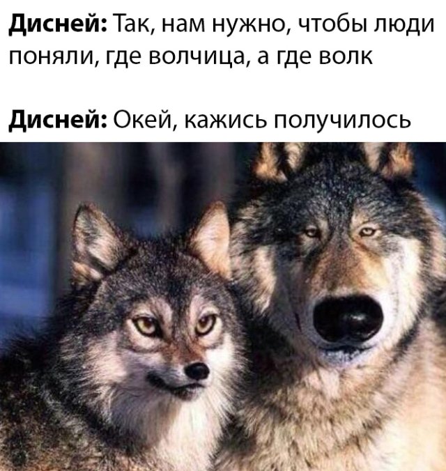 Подборка прикольных фото №2356 (66 фото)