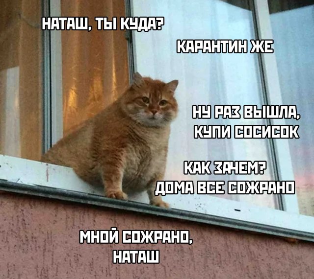 Подборка прикольных фото №2357 (65 фото)