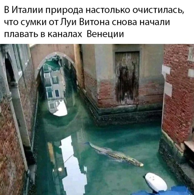Подборка прикольных фото №2358 (66 фото)