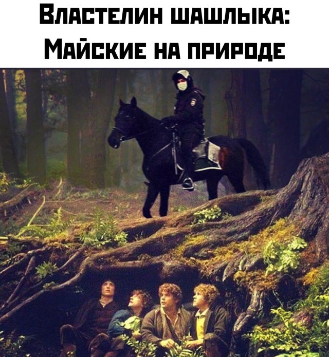 Подборка прикольных фото №2358 (66 фото)
