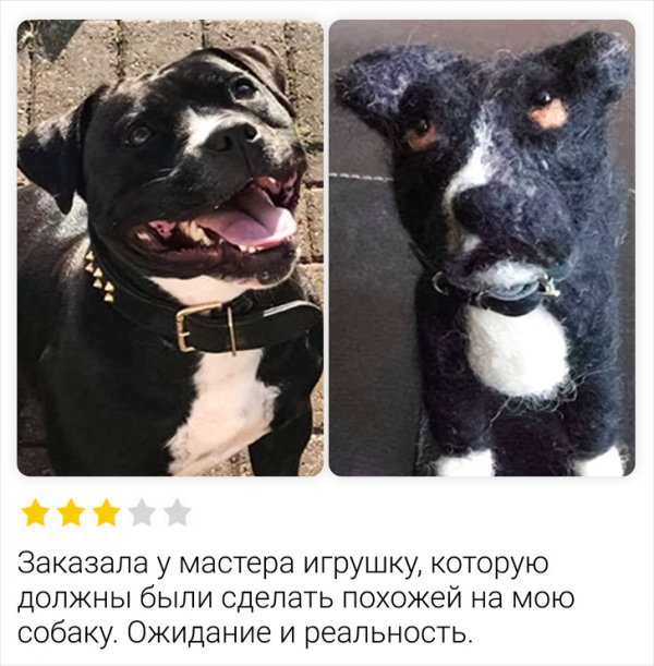 Подборка забавных отзывов (13 фото)