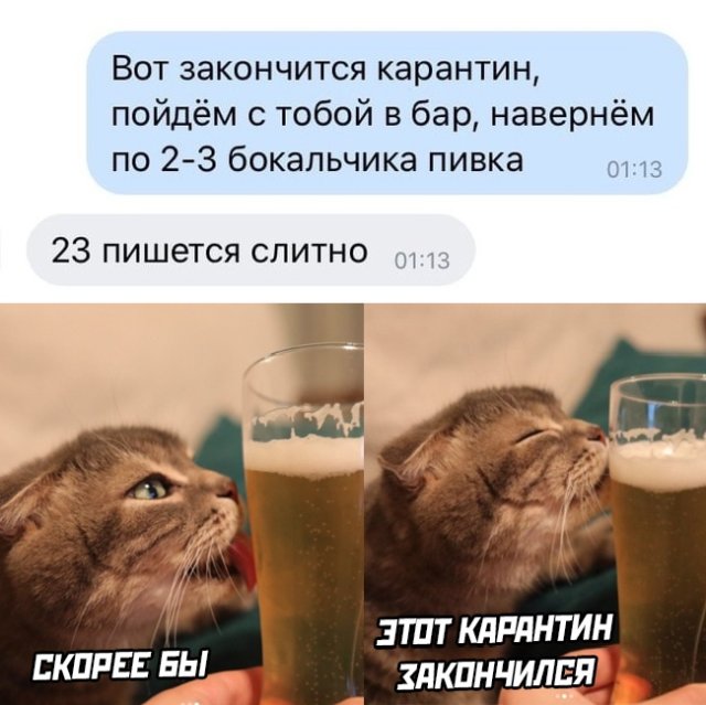 Подборка прикольных фото №2360 (68 фото)