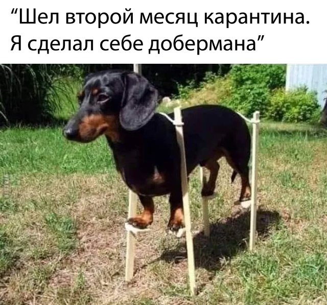 Подборка прикольных фото №2361 (69 фото)