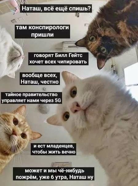 Билл Гейтс хочет чипировать планету: правда или вымысел? (13 фото)