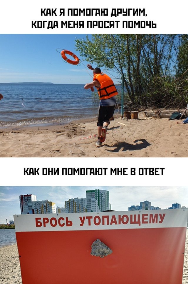 Подборка прикольных фото №2364 (65 фото)