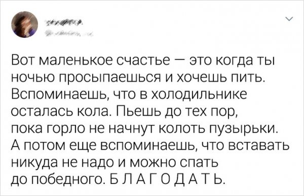 Подборка забавных твитов на тему "что такое женское счастье" (12 фото)
