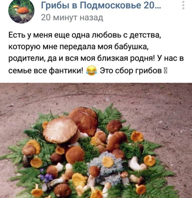 Немного о грамотности в Интернете (11 фото)