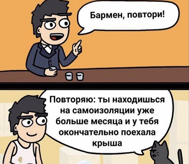 Карантин, удаленка и мемы: лучшие шутки из Сети (15 фото)