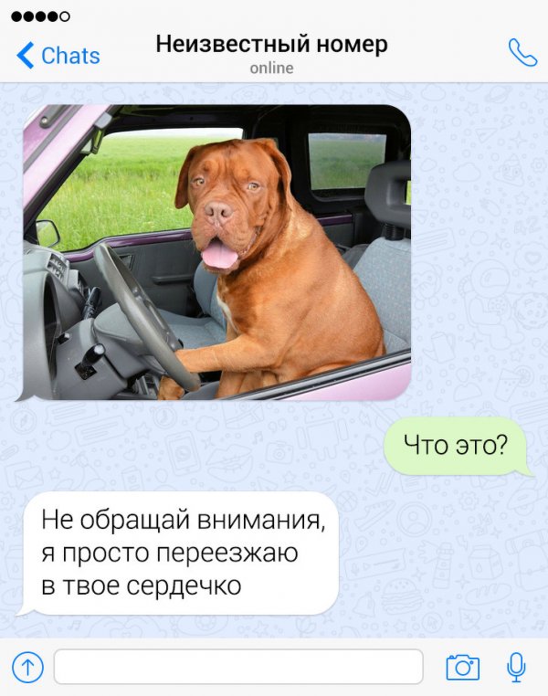 Подборка провальных попыток познакомиться через СМС (15 фото)