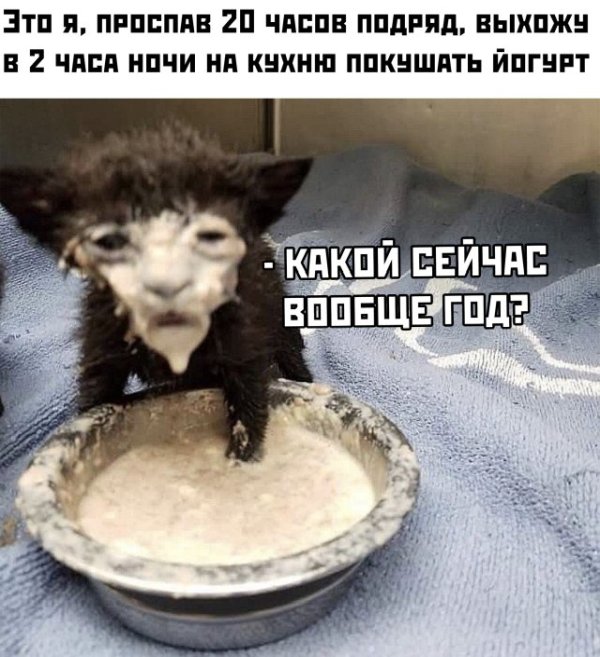 Подборка прикольных фото №2372 (64 фото)