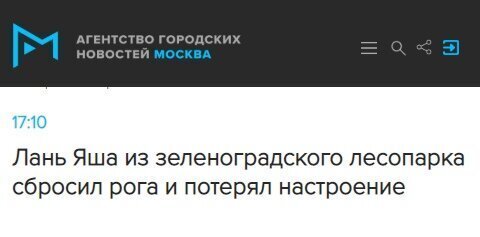 Эпичные заголовки в российских СМИ (15 фото)