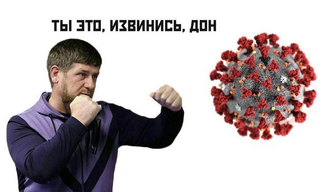 Рамзан Кадыров, удаленка и карантин: лучшие мемы из Сети (16 фото)