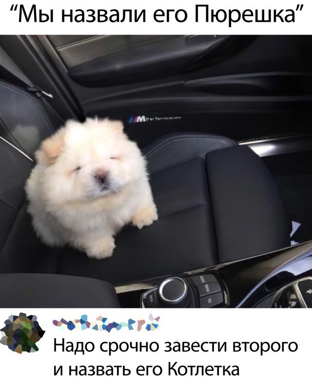 Подборка прикольных фото №2376 (63 фото)