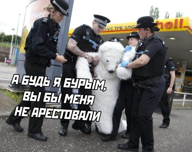 Подборка прикольных фото №2385 (64 фото)