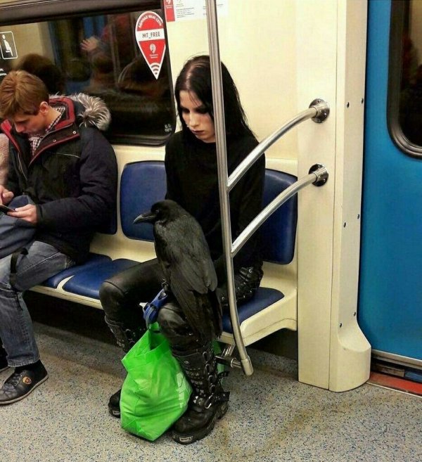 Модники и чудаки из метро (30 фото)