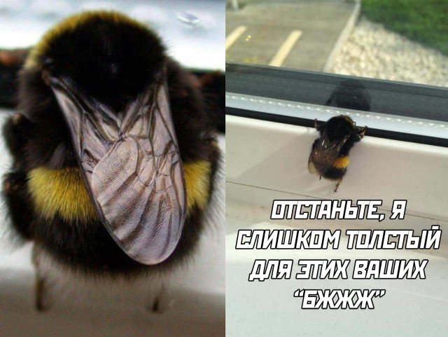 Подборка прикольных фото №2395 (63 фото)