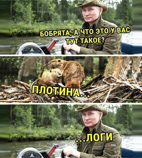 Реакция россиян на выступление Владимира Путина (13 фото)