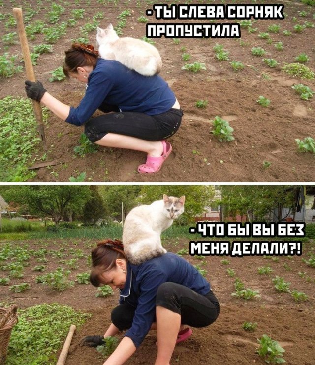 Подборка прикольных фото №2409 (63 фото)