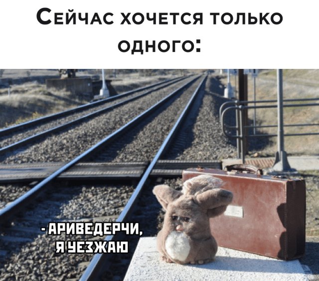 Подборка прикольных фото №2409 (63 фото)
