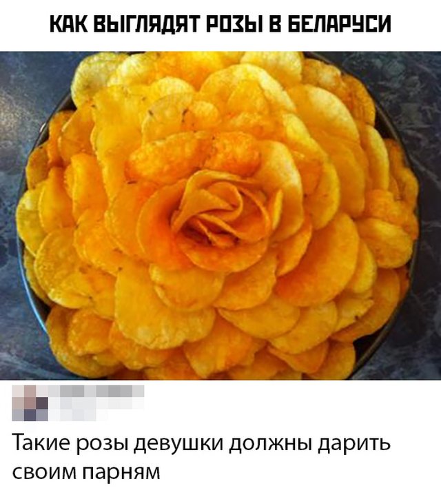 Подборка прикольных фото №2414 (63 фото)
