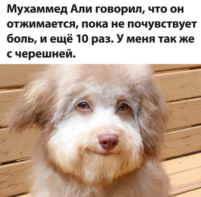 Подборка прикольных фото №2419 (64 фото)
