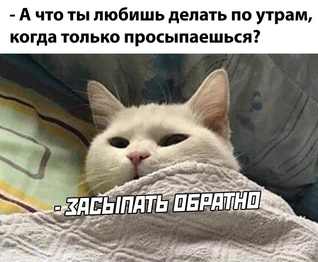 Подборка прикольных фото №2427 (66 фото)