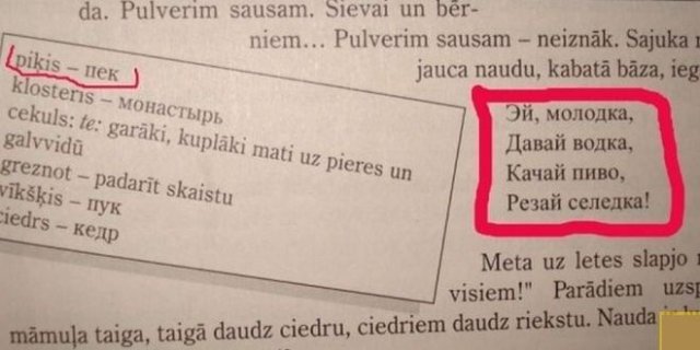 Как в разных странах учат русскому языку (16 фото)