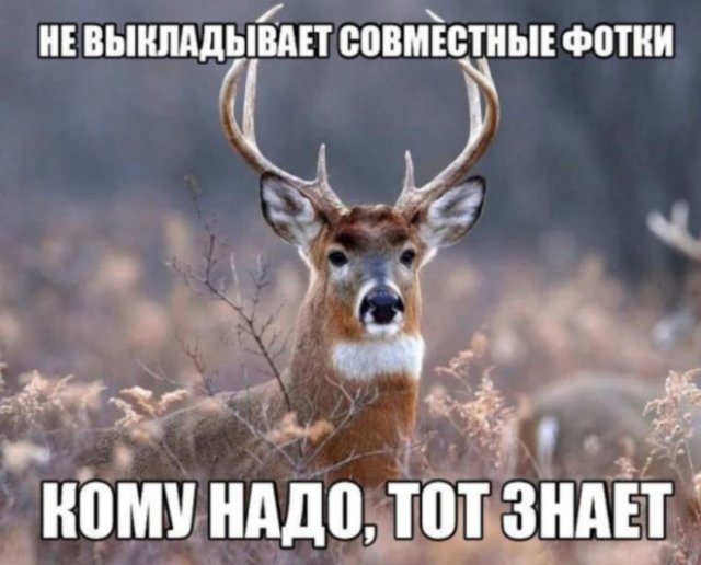 Мемы и шутки про современных девушек (15 фото)