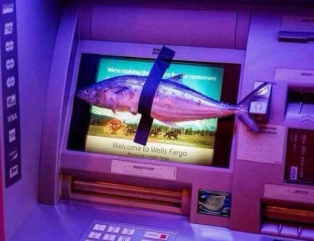 Фотографии из серии "Что здесь происходит?" (15 фото)