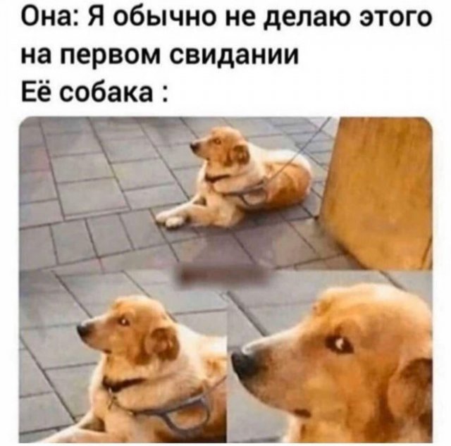 Мемы и приколы про "это" (15 фото)
