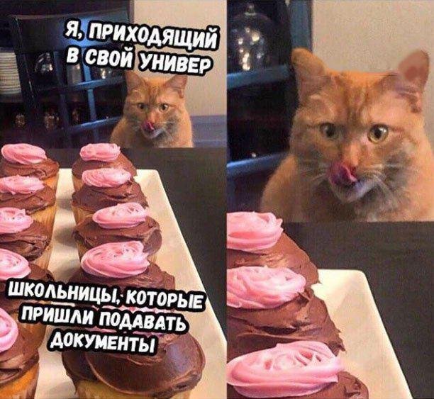 Шутки и мемы про "это" (13 фото)