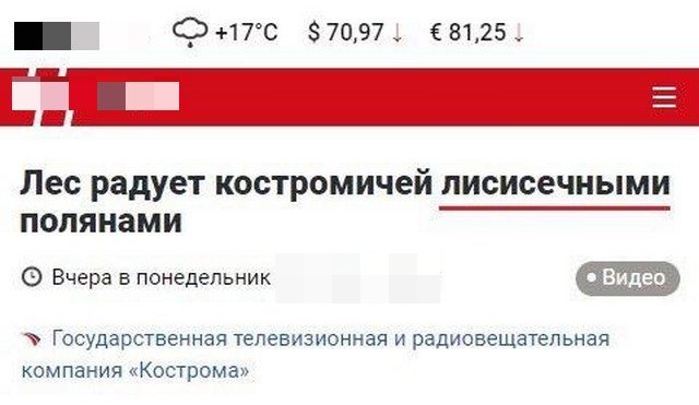 Смешные и нелепые заголовки в СМИ (10 фото)