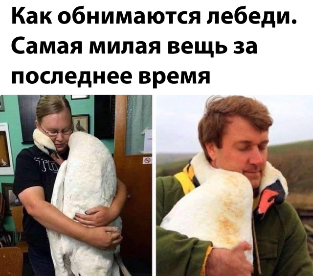 Подборка прикольных фото №2439 (66 фото)