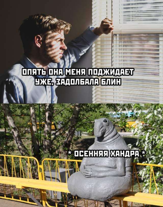 Подборка прикольных фото №2439 (66 фото)