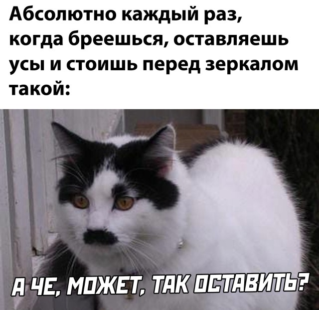 Подборка прикольных фото №2441 (65 фото)
