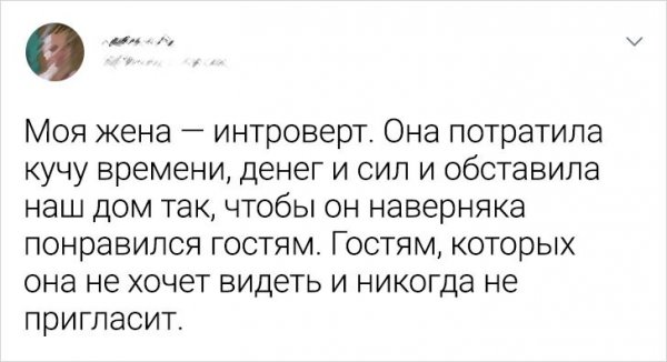 Подборка забавных твитов от интровертов (18 фото)
