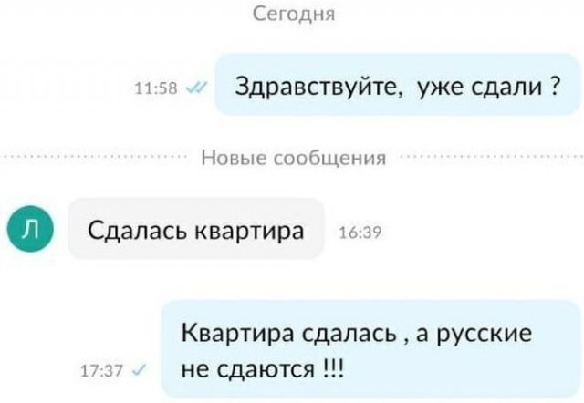 Смешные и странные переписки продавцов с покупателями (13 фото)
