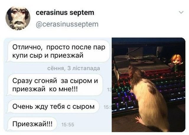 Подборка забавных твитов обо всем (15 фото)