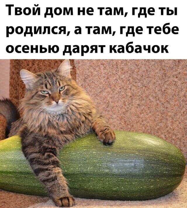 Подборка прикольных фото №2455 (32 фото)