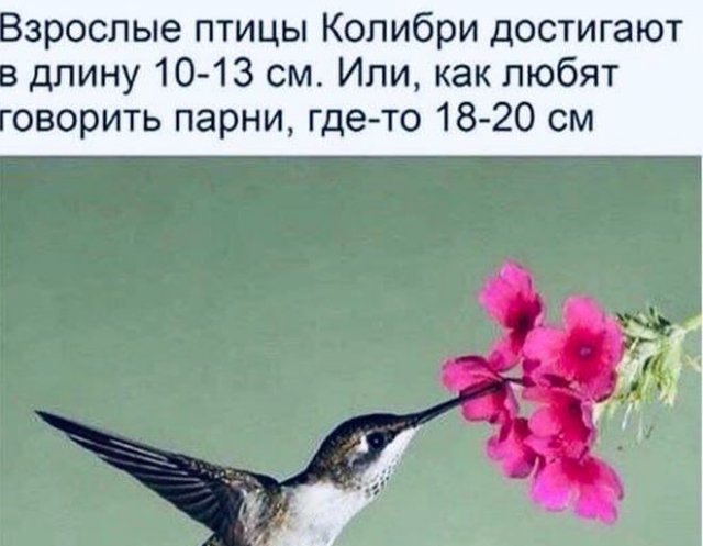 Мемы и приколы про "это" (15 фото)