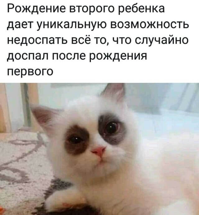 Подборка прикольных фото №2458 (31 фото)