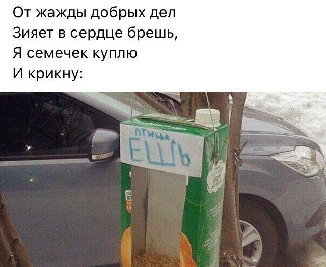 Рифмы из социальных сетей (15 фото)