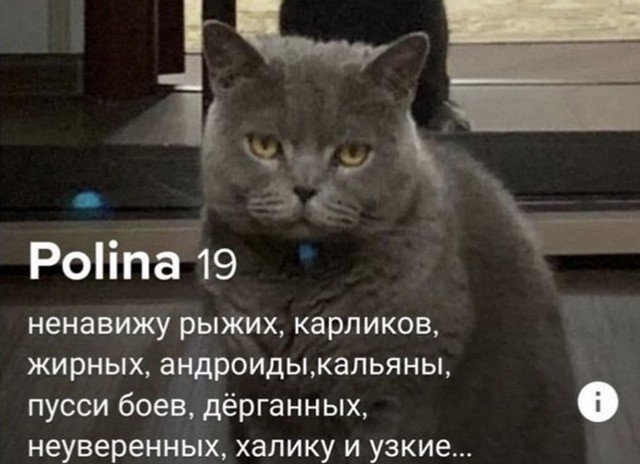 Анкеты, которые привлекают пользователей сайтов знакомств (10 фото)