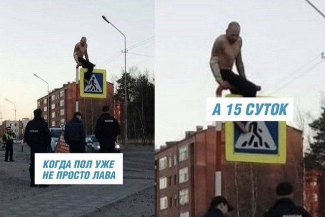 Лучшие мемы из интернета (19 фото)