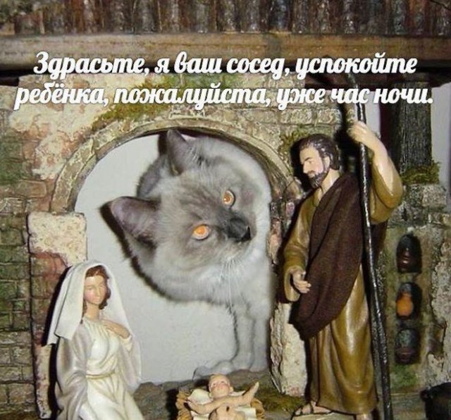 Шутки и истории про "яжматерей", детей и семейные отношения (15 фото)